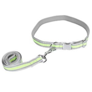 Correa con collar fosforescente