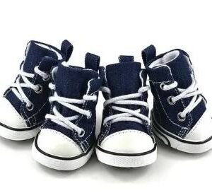 TENIS CONVERS #1
