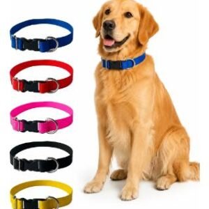 COLLAR ECONOMICO