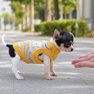 PLAYERA CON ARGOLLA 2 PATAS S